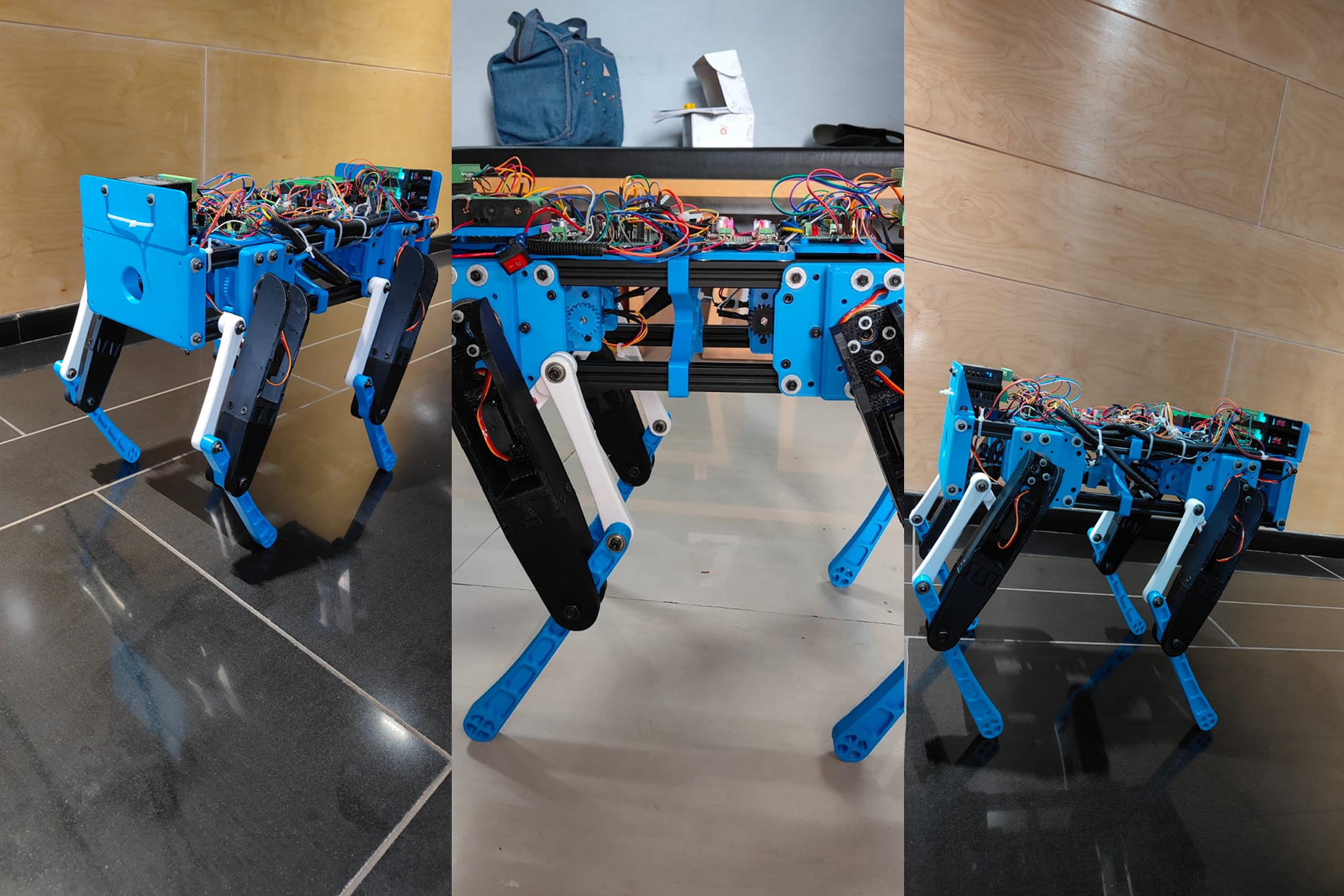 Robotic Dog Overview